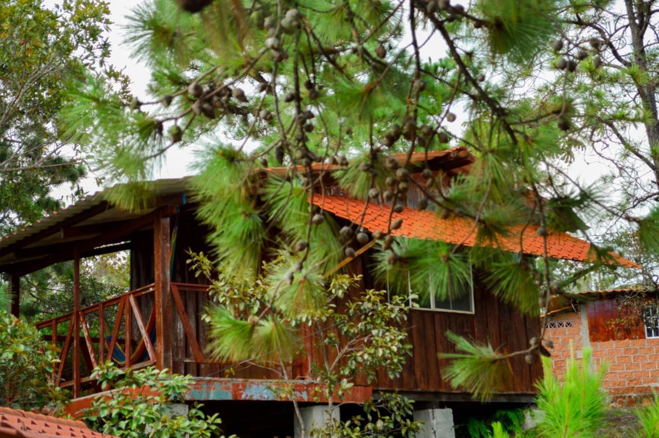 Hotel Y Restaurante Las Margaritas Perquin Bagian luar foto